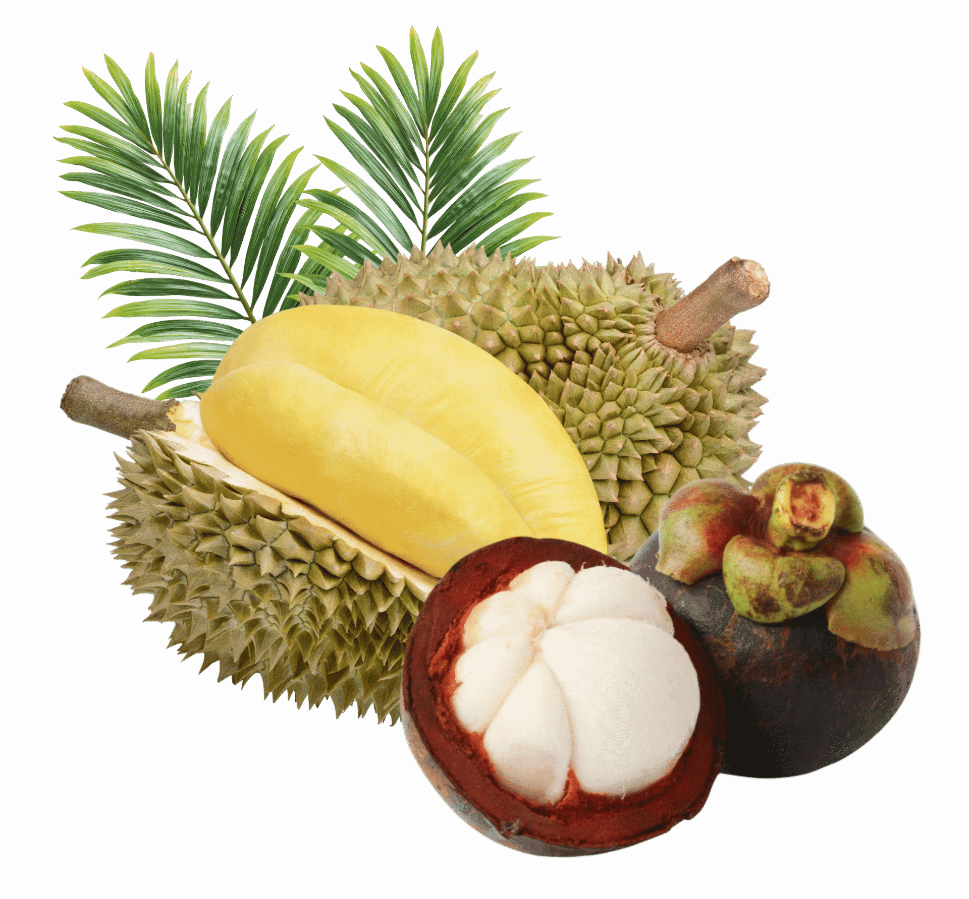 ผลผลิตสินค้าเกษตร